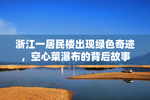 浙江一居民楼出现绿色奇迹，空心菜瀑布的背后故事