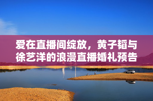 爱在直播间绽放，黄子韬与徐艺洋的浪漫直播婚礼预告