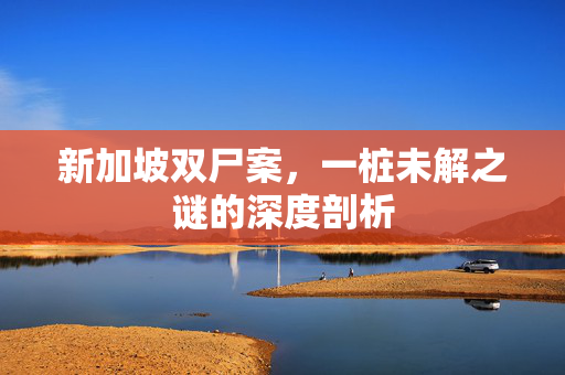新加坡双尸案，一桩未解之谜的深度剖析