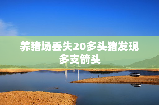 养猪场丢失20多头猪发现多支箭头