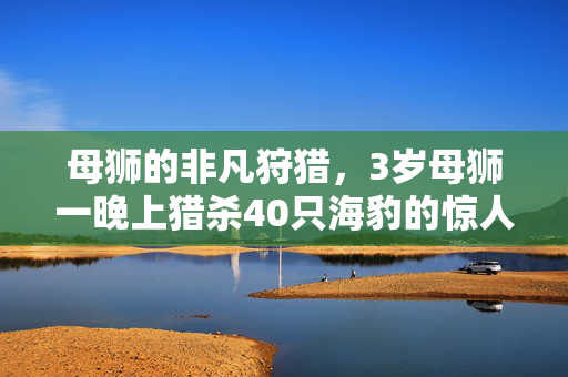 母狮的非凡狩猎，3岁母狮一晚上猎杀40只海豹的惊人壮举