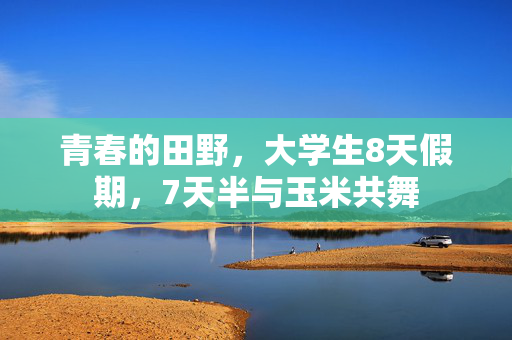 青春的田野，大学生8天假期，7天半与玉米共舞