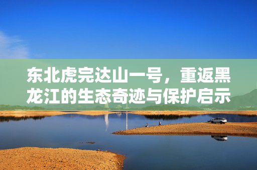 东北虎完达山一号，重返黑龙江的生态奇迹与保护启示