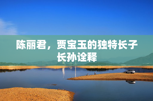 陈丽君，贾宝玉的独特长子长孙诠释