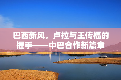 巴西新风，卢拉与王传福的握手——中巴合作新篇章