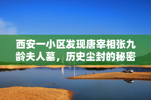 西安一小区发现唐宰相张九龄夫人墓，历史尘封的秘密重见天日