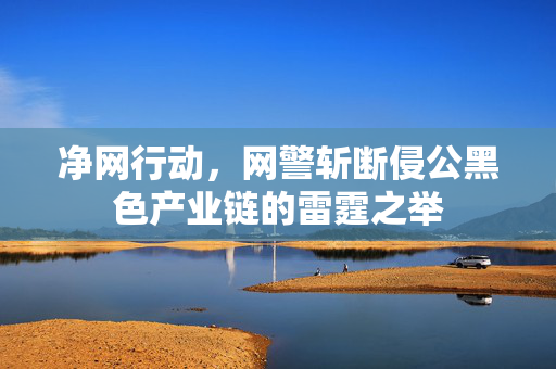 净网行动，网警斩断侵公黑色产业链的雷霆之举