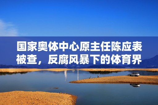 国家奥体中心原主任陈应表被查，反腐风暴下的体育界警钟