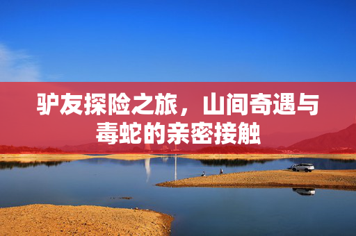 驴友探险之旅，山间奇遇与毒蛇的亲密接触