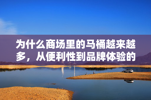 为什么商场里的马桶越来越多，从便利性到品牌体验的全面升级
