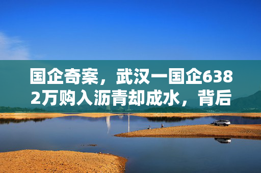 国企奇案，武汉一国企6382万购入沥青却成水，背后真相引人深思