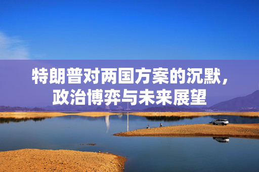 特朗普对两国方案的沉默，政治博弈与未来展望