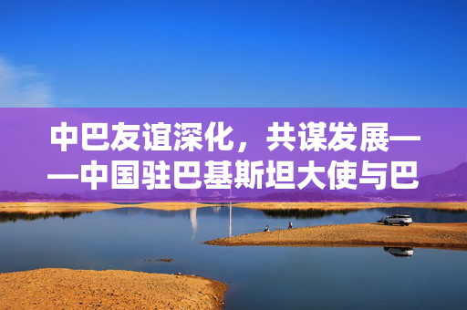 中巴友谊深化，共谋发展——中国驻巴基斯坦大使与巴总理会面