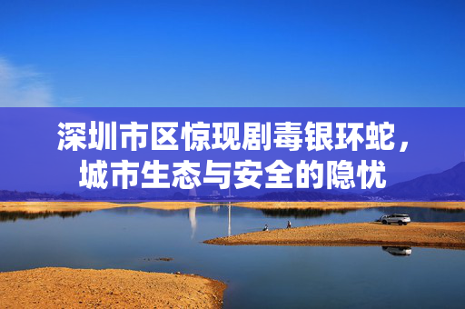 深圳市区惊现剧毒银环蛇，城市生态与安全的隐忧