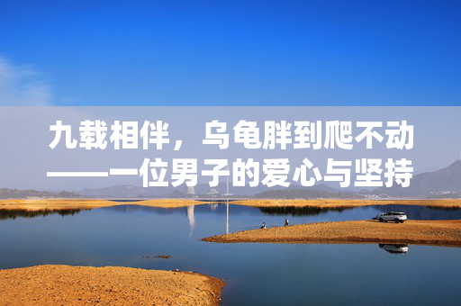 九载相伴，乌龟胖到爬不动——一位男子的爱心与坚持