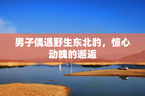 男子偶遇野生东北豹，惊心动魄的邂逅