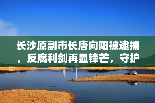 长沙原副市长唐向阳被逮捕，反腐利剑再显锋芒，守护一方净土