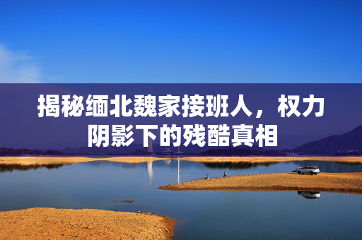 揭秘缅北魏家接班人，权力阴影下的残酷真相