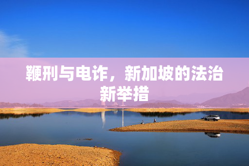 鞭刑与电诈，新加坡的法治新举措