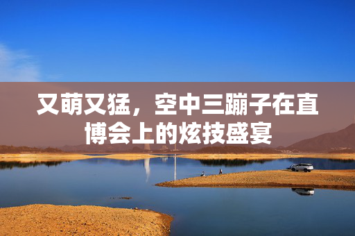 又萌又猛，空中三蹦子在直博会上的炫技盛宴
