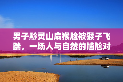 男子黔灵山扇猴脸被猴子飞踹，一场人与自然的尴尬对决
