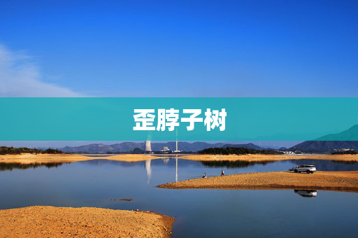 歪脖子树