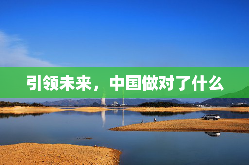 引领未来，中国做对了什么