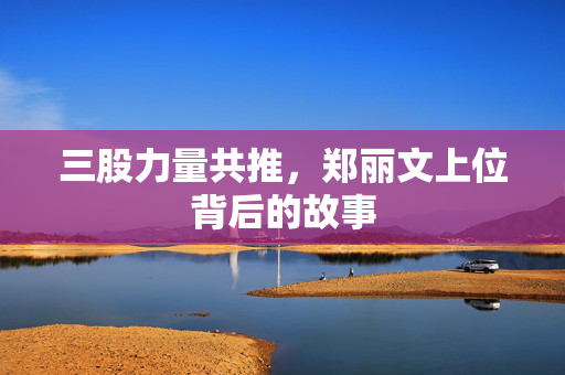 三股力量共推，郑丽文上位背后的故事