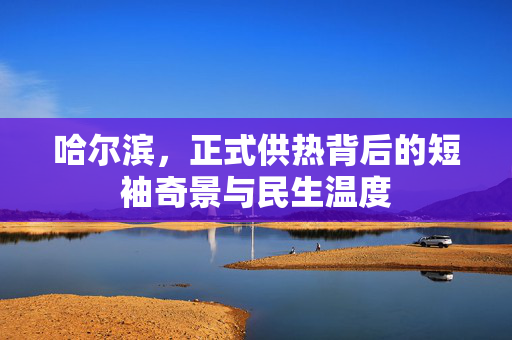 哈尔滨，正式供热背后的短袖奇景与民生温度