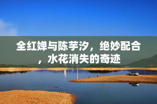 全红婵与陈芋汐，绝妙配合，水花消失的奇迹