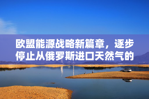欧盟能源战略新篇章，逐步停止从俄罗斯进口天然气的决定与影响