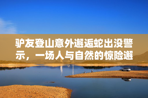 驴友登山意外邂逅蛇出没警示，一场人与自然的惊险邂逅