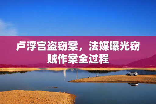 卢浮宫盗窃案，法媒曝光窃贼作案全过程