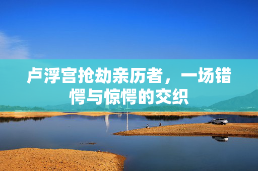卢浮宫抢劫亲历者，一场错愕与惊愕的交织
