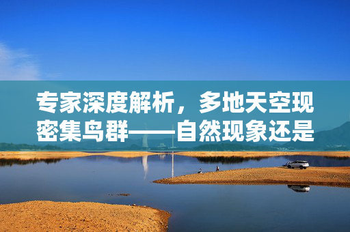 专家深度解析，多地天空现密集鸟群——自然现象还是环境信号？