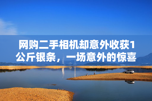 网购二手相机却意外收获1公斤银条，一场意外的惊喜与反思