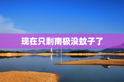 现在只剩南极没蚊子了