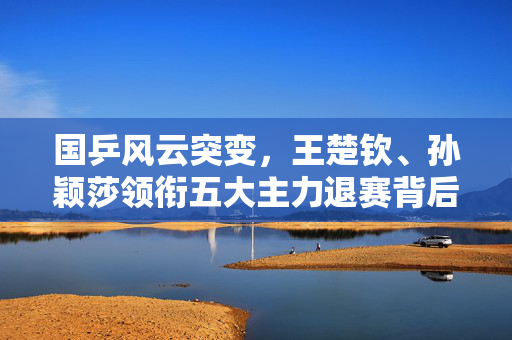 国乒风云突变，王楚钦、孙颖莎领衔五大主力退赛背后的深思