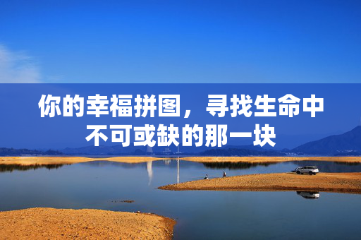 你的幸福拼图，寻找生命中不可或缺的那一块