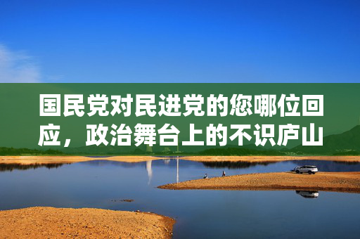 国民党对民进党的您哪位回应，政治舞台上的不识庐山真面目