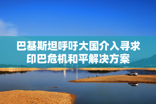巴基斯坦呼吁大国介入寻求印巴危机和平解决方案