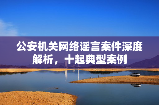 公安机关网络谣言案件深度解析，十起典型案例