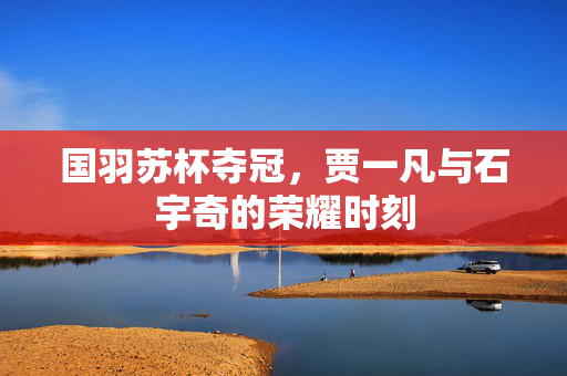 国羽苏杯夺冠，贾一凡与石宇奇的荣耀时刻