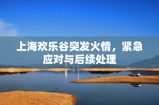 上海欢乐谷突发火情，紧急应对与后续处理