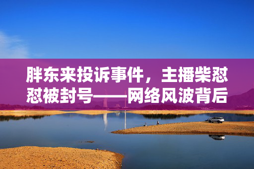胖东来投诉事件，主播柴怼怼被封号——网络风波背后的反思