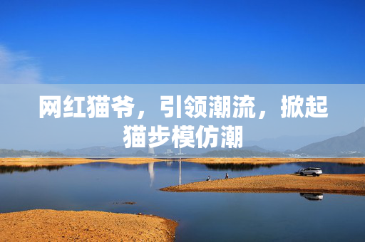 网红猫爷，引领潮流，掀起猫步模仿潮