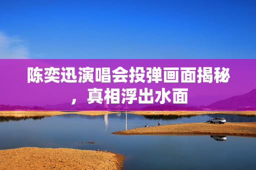 陈奕迅演唱会投弹画面揭秘，真相浮出水面