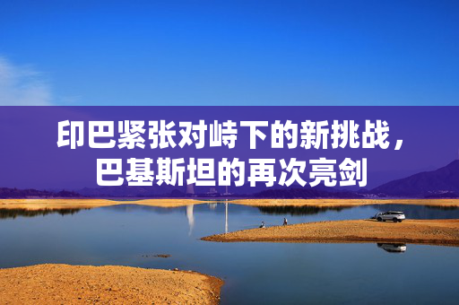 印巴紧张对峙下的新挑战，巴基斯坦的再次亮剑