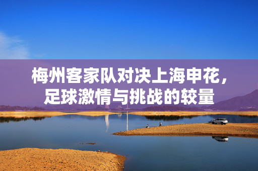 梅州客家队对决上海申花，足球激情与挑战的较量
