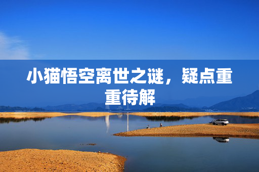 小猫悟空离世之谜，疑点重重待解